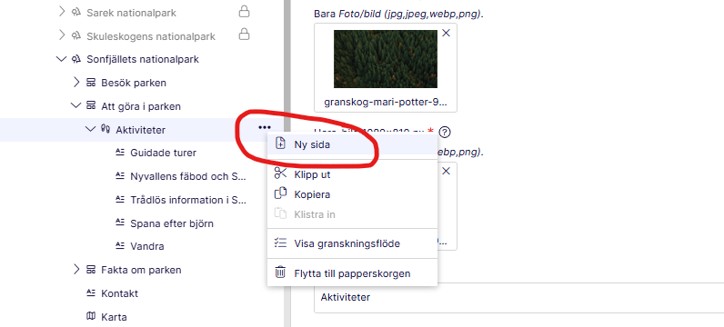 Skärmklipp på hur du skapar en ny webbsida i redaktörsläget. 