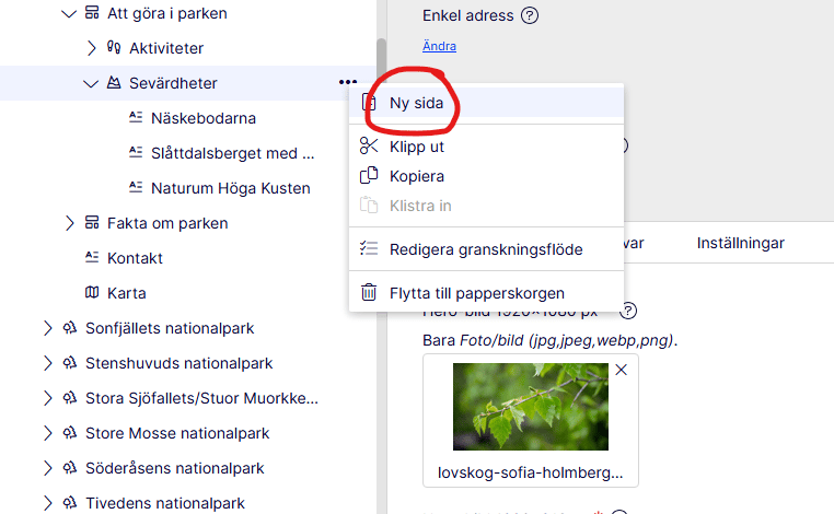 Skärmklipp på hur du skapar en ny webbsida i redaktörsläget. 